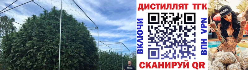закладка  Салаир  ТГК вейп с тгк 