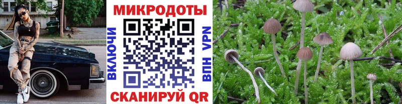 Галлюциногенные грибы мухоморы  Салаир 